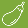 Terre Promise_semences_Producteur_Potager_ Légumes Terre Promise_semences_Producteur_ Potager_ Légumes