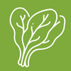 Terre Promise_semences_Producteur_Fines Herbes Terre Promise_semences_Producteur_Fines Herbes
