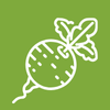 Terre Promise_semences_Producteur_Racine et tubercule Terre Promise_semences_Producteur_Racine et tubercule