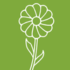 Terre Promise_semences_Producteur_Fleurs Terre Promise_semences_Producteur_Fleurs