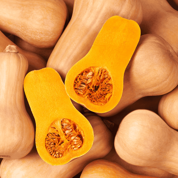 Courge Butternut (Cucurbita moschata)