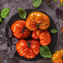 [303] ﻿Tomate Mémé de Beauce (Solanum lycopersicum)﻿