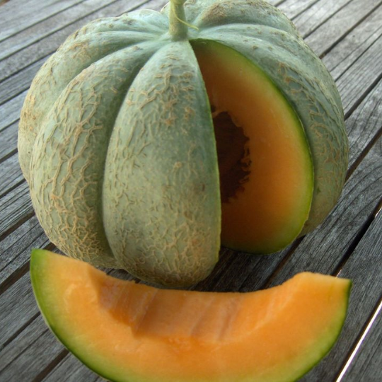Oka melon (Cucumis melo)
