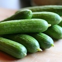 [062] ﻿Concombre libanais(Cucumis sativus)﻿