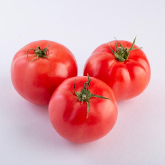 Tomato Quebec #13 (Lycopersicon esculentum "Quebec #13")