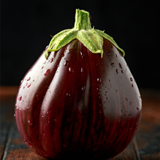 Aubergine 'Black Beauty' (Solanum melongena)