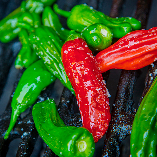 Pepper 'Shishito' (Capsicum anuum)