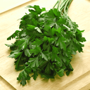 [152] Persil Plat (Petroselinum crispum var. neapolitanum)