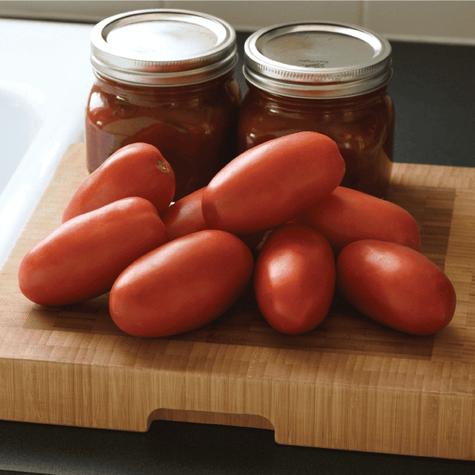 Rio Grande Tomato (Solanum lycopersicum)