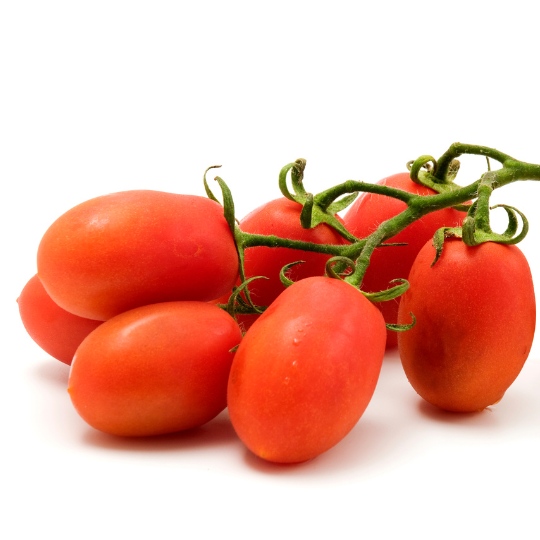 Tomate Rio Grande (Solanum lycopersicum)