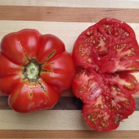 Palestinian tomato (Solanum lycopersicum)
