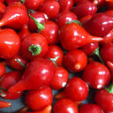 Red Iracema Biquinho Pepper (Capsicum Chinense)