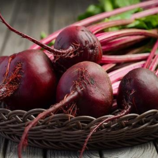 Detroit Beet (Beta vulgaris)