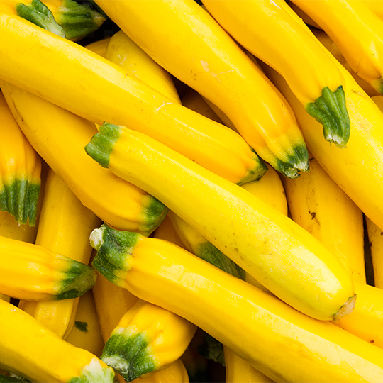 Courgette Ananashyi (Cucurbita pepo)