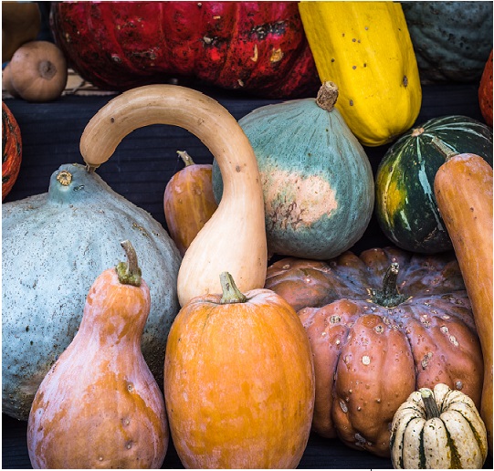 Harold en a plein la courge!