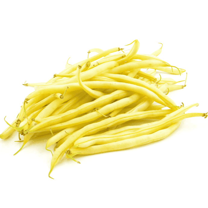 Gold Rush bush bean (Phaseolus vulgaris)