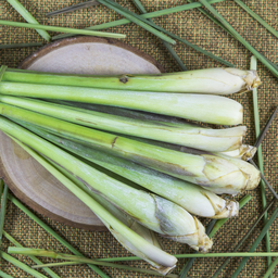 [31] Lemongrass (Pelargonim citronellum)