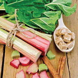 [193] Rhubarb (Rheum rhabarbarum)