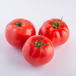 [320] Tomato Quebec #13 (Lycopersicon esculentum "Quebec #13")