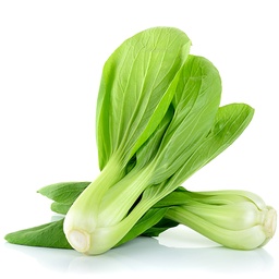 [053] Bok Choy Shanghai Green cabbage (Brassica rapa var. chinensis)