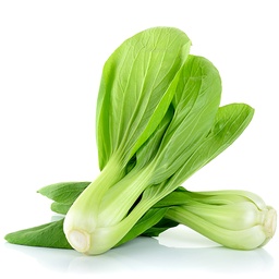 [053] Chou Bok Choy Shangai Green ( Brassica rapa var. chinensis)