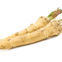 [B1] Perennial horseradish (Armoracia rusticana)