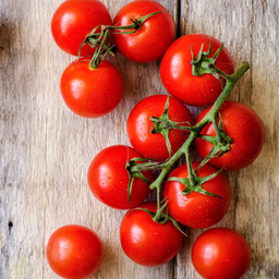 [323] Red Robin Tomato (Solanum lycopersicum)