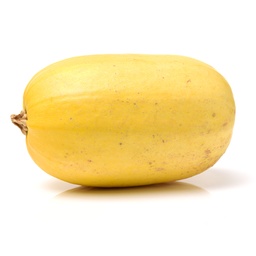 [074] Spaghetti Squash (Cucurbita pepo)