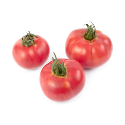 [326] Tomate Rose de Berne (Solanum lycopersicum)