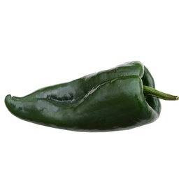 [170] Piment Poblano (Capsicum annuum)