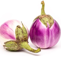 [20] Eggplant Rosa Blanca (Solanum melongena)