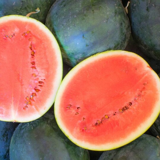 A  Cinque Gruppi Di Semi Di Citrullus Lanatus E B  Campioni Di Marmo Tagliati E Q320